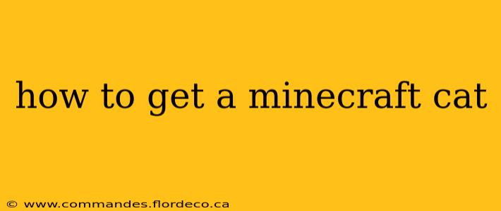 how to get a minecraft cat