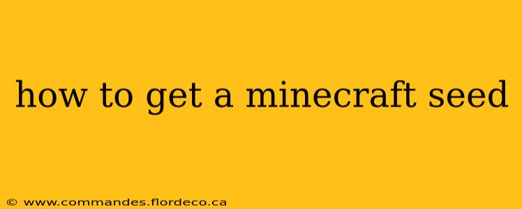 how to get a minecraft seed