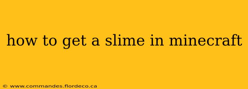 how to get a slime in minecraft