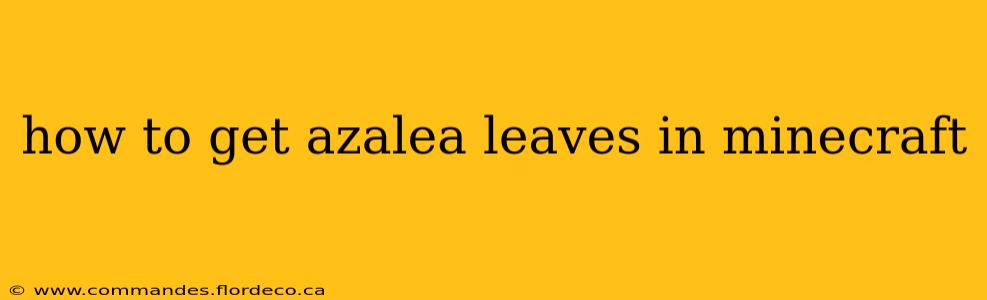 how to get azalea leaves in minecraft
