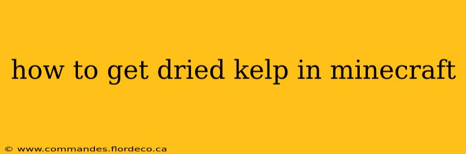 how to get dried kelp in minecraft