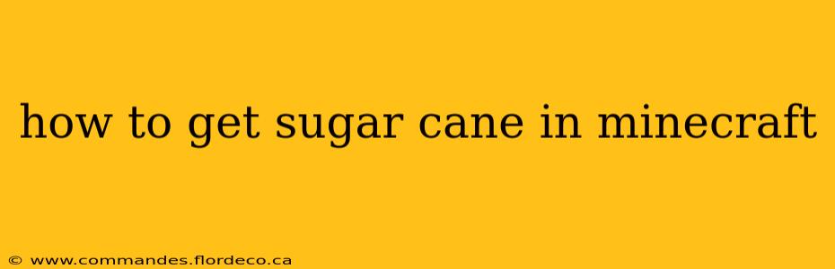 how to get sugar cane in minecraft