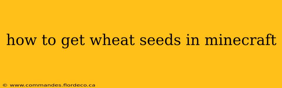 how to get wheat seeds in minecraft