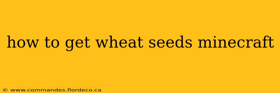 how to get wheat seeds minecraft