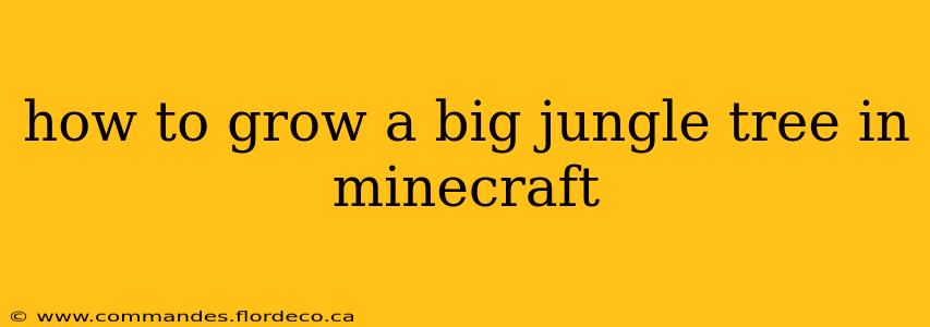 how to grow a big jungle tree in minecraft