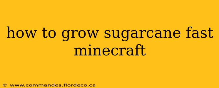 how to grow sugarcane fast minecraft