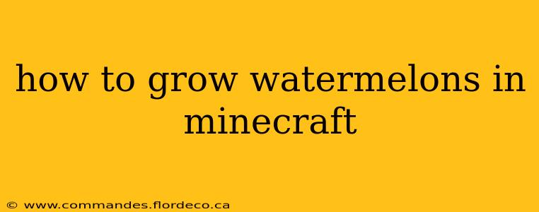 how to grow watermelons in minecraft