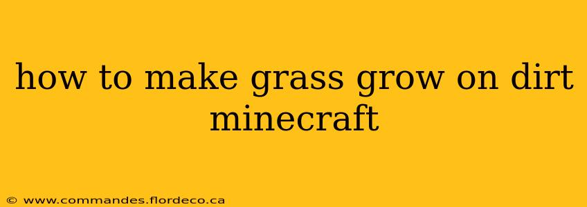 how to make grass grow on dirt minecraft