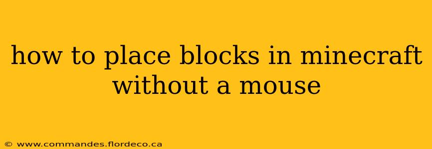 how to place blocks in minecraft without a mouse