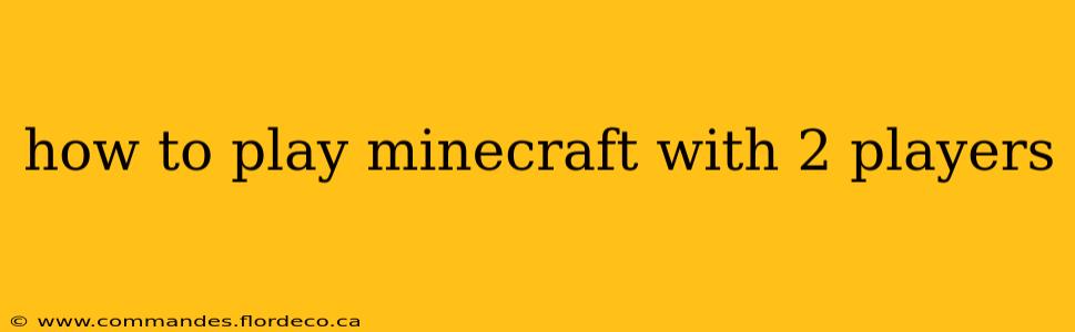 how to play minecraft with 2 players