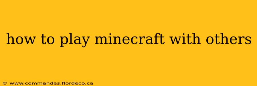 how to play minecraft with others
