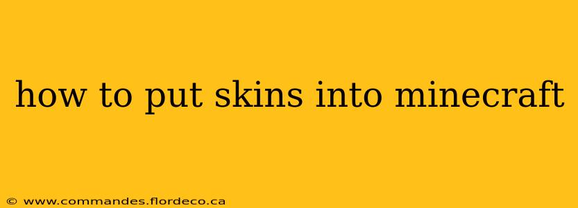 how to put skins into minecraft