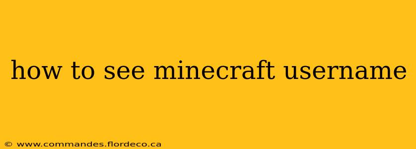 how to see minecraft username