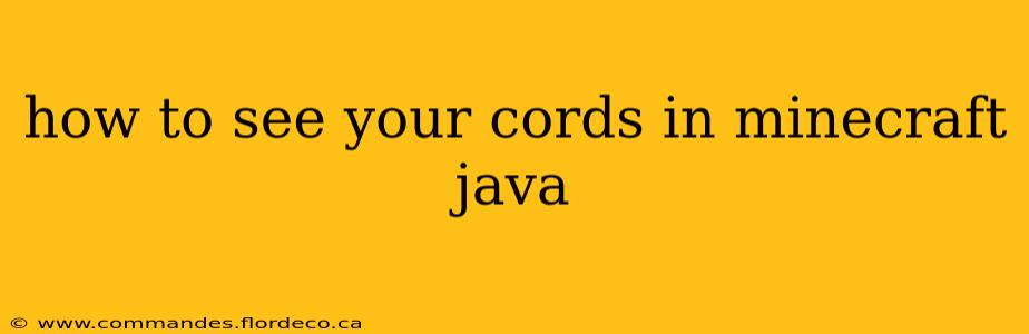 how to see your cords in minecraft java