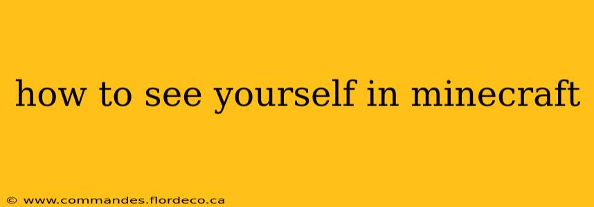 how to see yourself in minecraft