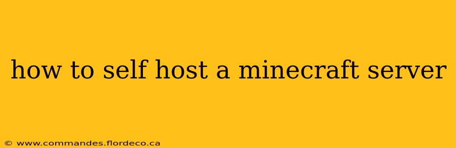 how to self host a minecraft server
