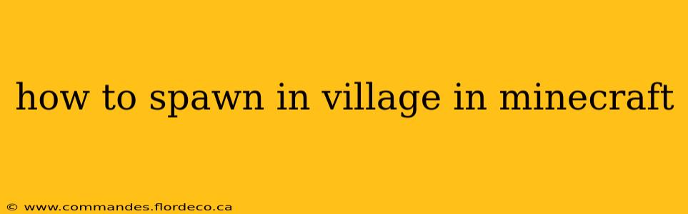 how to spawn in village in minecraft
