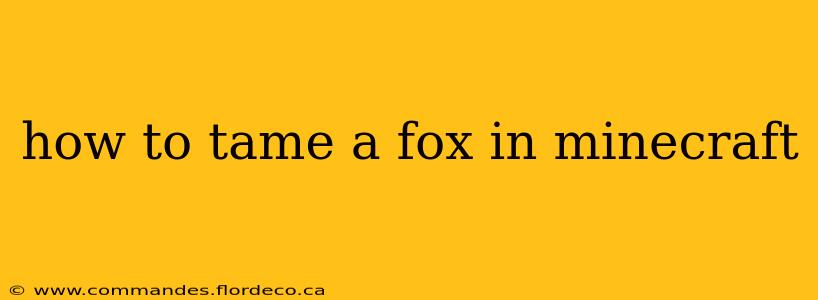 how to tame a fox in minecraft