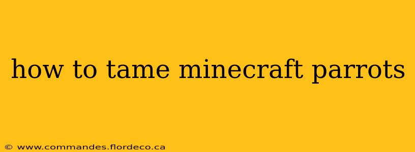 how to tame minecraft parrots
