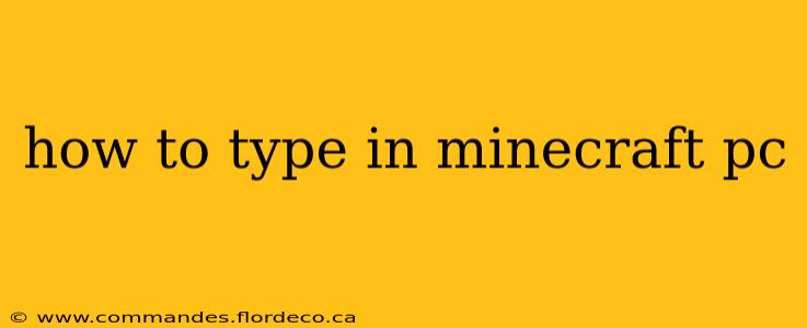 how to type in minecraft pc