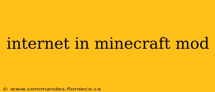 internet in minecraft mod