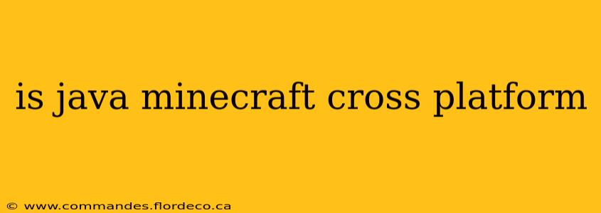 is java minecraft cross platform