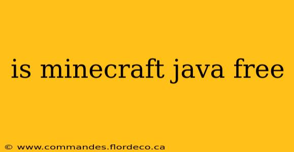 is minecraft java free