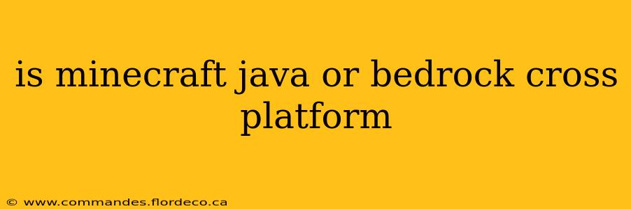 is minecraft java or bedrock cross platform
