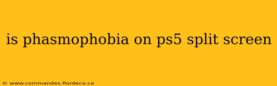is phasmophobia on ps5 split screen