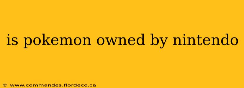 is pokemon owned by nintendo