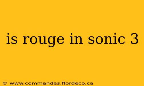 is rouge in sonic 3