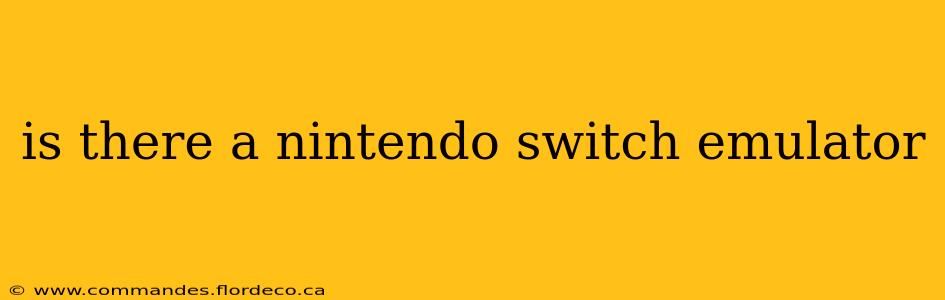 is there a nintendo switch emulator