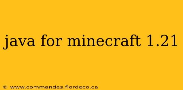 java for minecraft 1.21