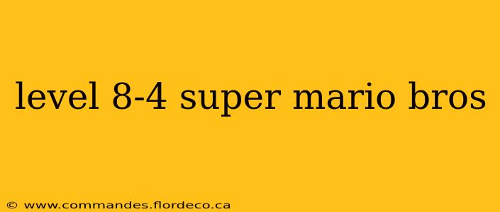 level 8-4 super mario bros
