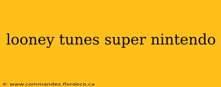 looney tunes super nintendo