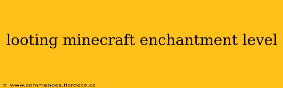 looting minecraft enchantment level