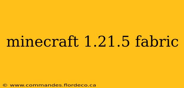 minecraft 1.21.5 fabric