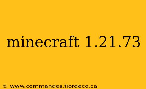 minecraft 1.21.73