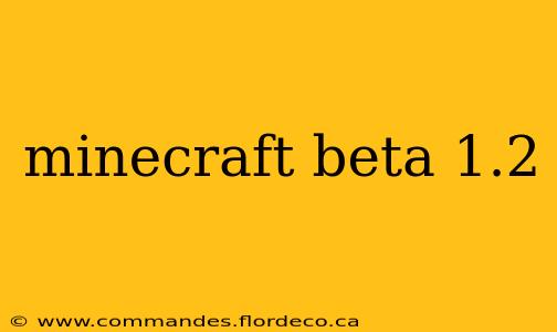 minecraft beta 1.2