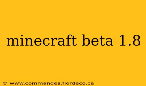 minecraft beta 1.8