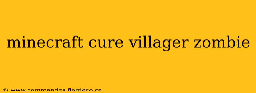 minecraft cure villager zombie