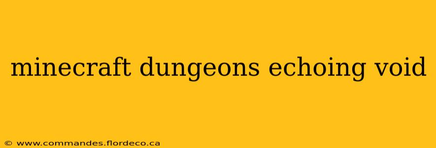 minecraft dungeons echoing void