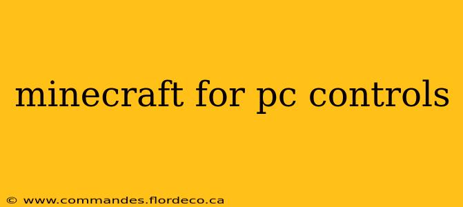 minecraft for pc controls