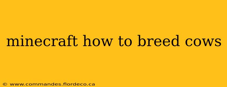 minecraft how to breed cows