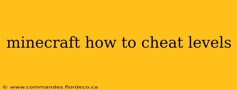 minecraft how to cheat levels
