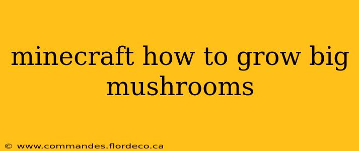 minecraft how to grow big mushrooms