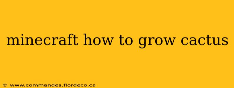 minecraft how to grow cactus