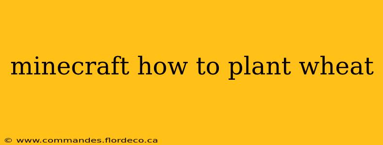 minecraft how to plant wheat
