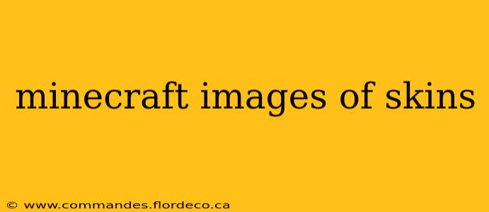 minecraft images of skins