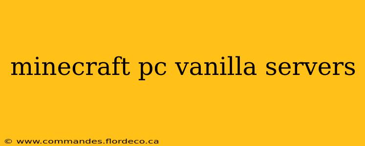 minecraft pc vanilla servers